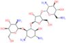 Paromomycin II