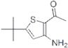 1-[3-amino-5-(tert-butyl)-2-thienyl]ethan-1-one