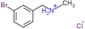 (3-bromophenyl)-N-methylmethanaminium chloride
