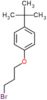 1-(3-bromopropoxy)-4-tert-butylbenzene