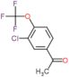 1-[3-chloro-4-(trifluoromethoxy)phenyl]ethanone