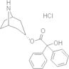 alpha-Hydroxy-alpha-phenylbenzeneacetic acid (3-endo)-8-azabicyclo[3.2.1]oct-3-yl ester hydrochloride