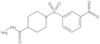 1-[(3-Nitrophenyl)sulfonyl]-4-piperidinecarboxylic acid hydrazide