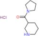 3-piperidyl(pyrrolidin-1-yl)methanone hydrochloride