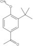 1-[3-(1,1-Dimethylethyl)-4-methoxyphenyl]ethanone