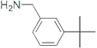 1-(3-tert-butylphenyl)methanamine