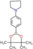 1-[4-(4,4,5,5-tetramethyl-1,3,2-dioxaborolan-2-yl)phenyl]pyrrolidine