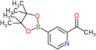 1-[4-(4,4,5,5-tetramethyl-1,3,2-dioxaborolan-2-yl)-2-pyridyl]ethanone