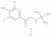 1-(4-amino-3,5-dichlorophenyl)-2-[(1,1-dimethylethyl)amino]ethan-1-one hydrochloride