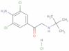 Ethanone, 1-(4-amino-3,5-dichlorophenyl)-2-[(1,1-dimethylethyl)amino]-, hydrochloride (1:?)