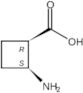 (1R,2S)-2-Aminocyclobutanecarboxylic acid