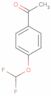 1-[4-(Difluoromethoxy)phenyl]ethanone