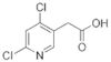 4,6-DICHLOROPYRIDINE-3-ACETIC ACID