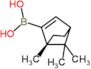 B-[(1S,4R)-1,7,7-Trimethylbicyclo[2.2.1]hept-2-en-2-yl]boronic acid