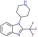 1-(Piperidin-4-yl)-2-(trifluoromethyl)-1H-benzimidazole