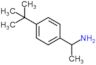 1-(4-tert-butylphenyl)ethanamine