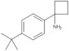 1-[4-(1,1-Dimethylethyl)phenyl]cyclobutanamine