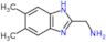 1-(5,6-dimethyl-1H-benzimidazol-2-yl)methanamine