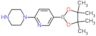 1-[5-(4,4,5,5-tetramethyl-1,3,2-dioxaborolan-2-yl)pyridin-2-yl]piperazine