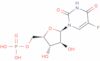 1-(5-Phospho-beta-D-arabinofuranosyl)-5-fluorouracil