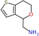 1-(6,7-dihydro-4H-thieno[3,2-c]pyran-4-yl)methanamine