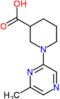 1-(6-methylpyrazin-2-yl)piperidine-3-carboxylic acid