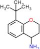 8-tert-butylchroman-4-amine