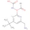 Carbamic acid, [6-(aminomethyl)-3-pyridinyl]-, 1,1-dimethylethyl ester