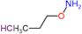 1-(aminooxy)propane hydrochloride (1:1)