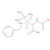 Carbamic acid, [[(phenylmethyl)amino]sulfonyl]-, 1,1-dimethylethyl ester