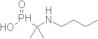 Ácido P-[1-(butilamino)-1-metiletil]fosfínico