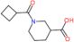 1-(cyclobutylcarbonyl)piperidine-3-carboxylic acid