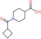 1-(Cyclobutylcarbonyl)-4-piperidinecarboxylic acid