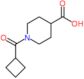 1-(cyclobutylcarbonyl)piperidine-4-carboxylic acid