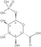 Glucuronic acid 1-phosphate