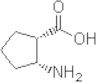 (1S,2R)-2-amino cyclopetanecarboxylic acid