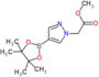 methyl 2-[4-(4,4,5,5-tetramethyl-1,3,2-dioxaborolan-2-yl)pyrazol-1-yl]acetate