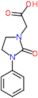 2-Oxo-3-phenyl-1-imidazolidineacetic acid