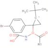 Carbamic acid, [1-(4-bromophenyl)cyclopropyl]-, 1,1-dimethylethyl ester