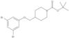 1,1-Dimethylethyl 4-[(3,5-dibromophenoxy)methyl]-1-piperidinecarboxylate