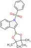 1-(phenylsulfonyl)-3-(4,4,5,5-tetramethyl-1,3,2-dioxaborolan-2-yl)-1H-indole