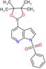 1-(benzenesulfonyl)-4-(4,4,5,5-tetramethyl-1,3,2-dioxaborolan-2-yl)pyrrolo[2,3-b]pyridine