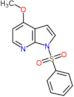 1-(benzenesulfonyl)-4-methoxy-pyrrolo[2,3-b]pyridine