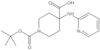 1-(1,1-Dimethylethyl) 4-(2-pyridinylamino)-1,4-piperidinedicarboxylate