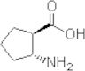 (1S,2S)-2-amino cyclopetanecarboxylic acid