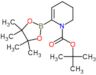 tert-butyl 6-(4,4,5,5-tetramethyl-1,3,2-dioxaborolan-2-yl)-3,4-dihydropyridine-1(2H)-carboxylate