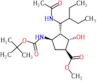 Methyl (1S,2S,3R,4R)-3-[(1R)-1-acetamido-2-ethylbutyl]-2-hydroxy-4-({[(2-methyl-2-propanyl)oxy]car…