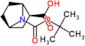 (1R,3S,4S)-7-tert-butoxycarbonyl-7-azabicyclo[2.2.1]heptane-3-carboxylic acid