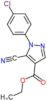 ethyl 1-(4-chlorophenyl)-5-cyano-1H-pyrazole-4-carboxylate