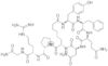 (asu1,6,arg8)-vasopressin